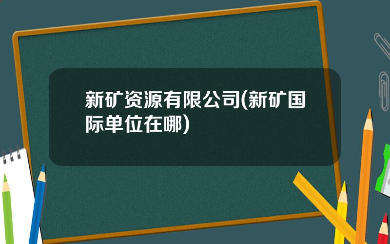 新矿资源有限公司(新矿国际单位在哪)