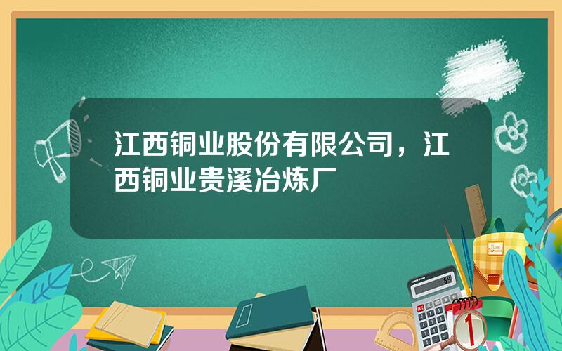 江西铜业股份有限公司，江西铜业贵溪冶炼厂