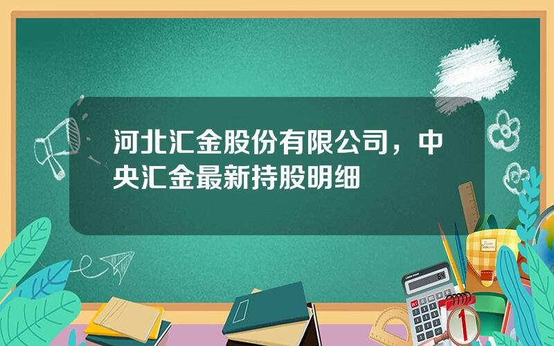 河北汇金股份有限公司，中央汇金最新持股明细