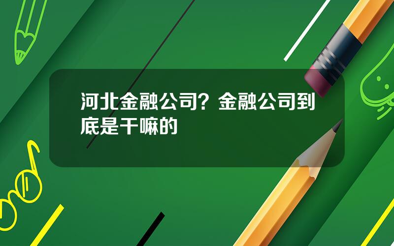 河北金融公司？金融公司到底是干嘛的