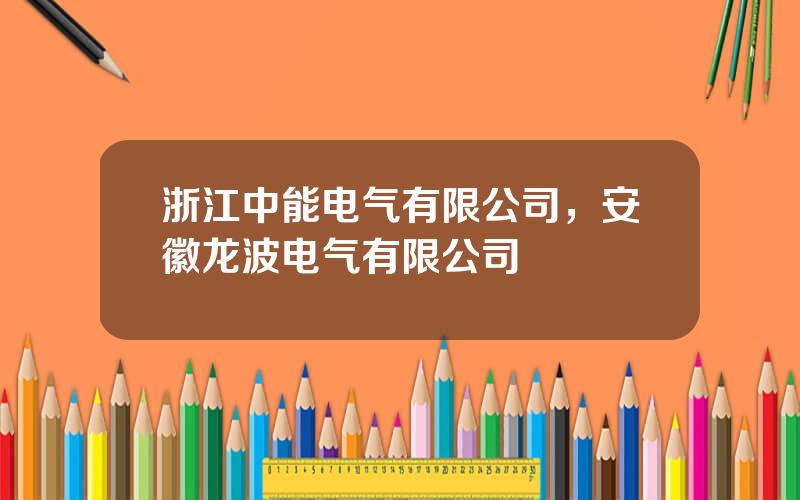 浙江中能电气有限公司，安徽龙波电气有限公司