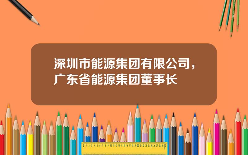 深圳市能源集团有限公司，广东省能源集团董事长