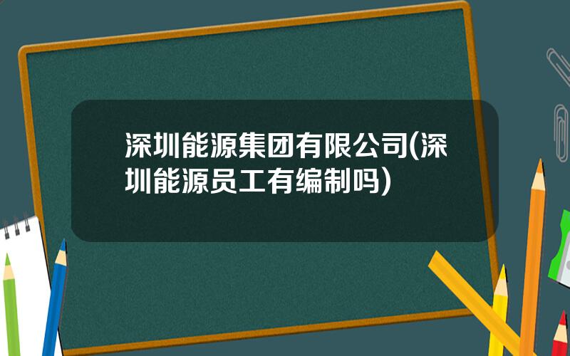 深圳能源集团有限公司(深圳能源员工有编制吗)