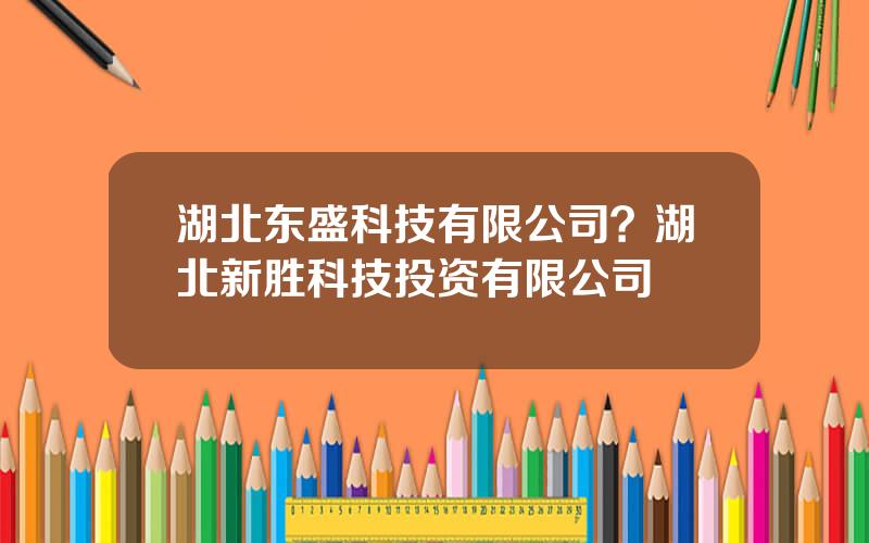 湖北东盛科技有限公司？湖北新胜科技投资有限公司