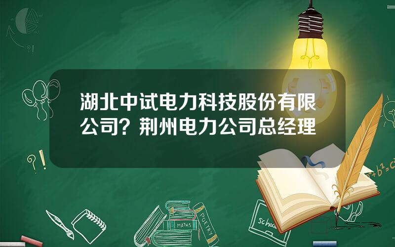 湖北中试电力科技股份有限公司？荆州电力公司总经理