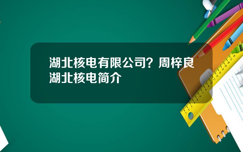 湖北核电有限公司？周梓良湖北核电简介