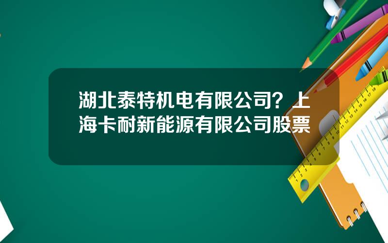 湖北泰特机电有限公司？上海卡耐新能源有限公司股票