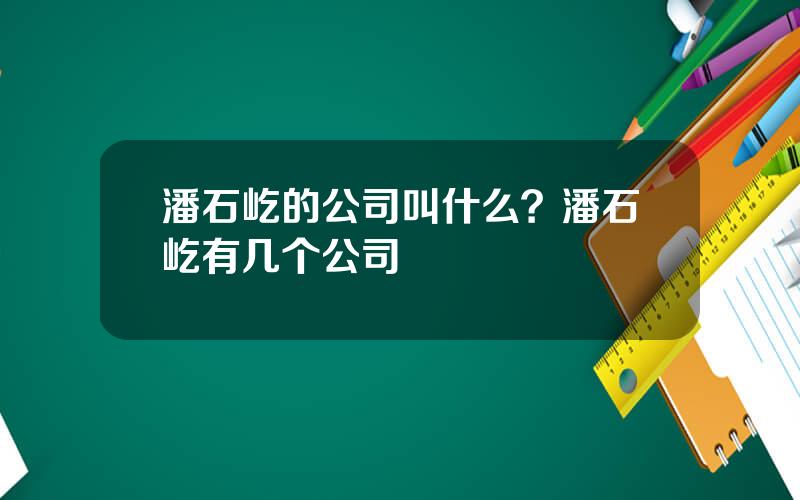 潘石屹的公司叫什么？潘石屹有几个公司