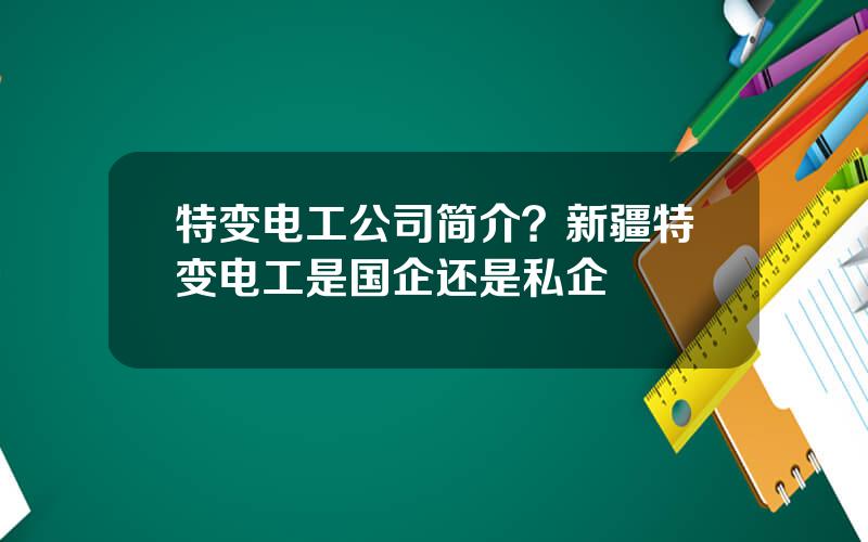 特变电工公司简介？新疆特变电工是国企还是私企