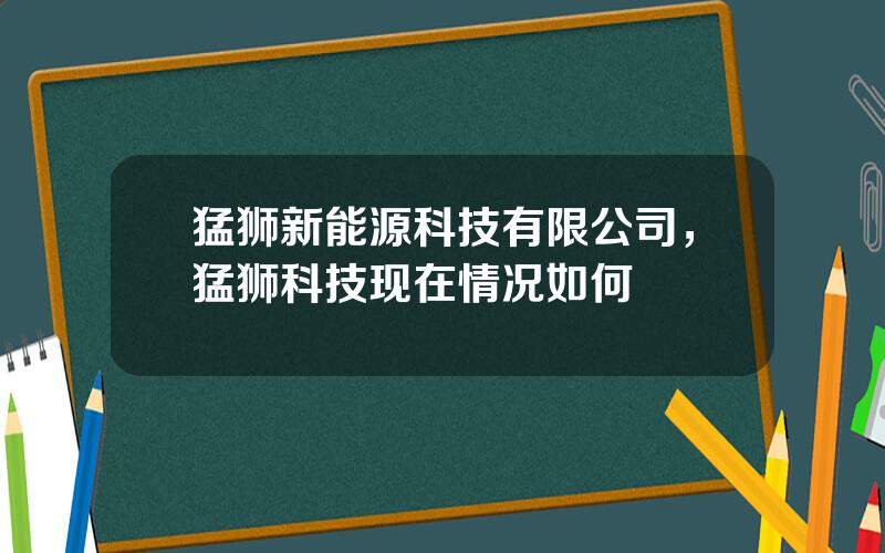 猛狮新能源科技有限公司，猛狮科技现在情况如何