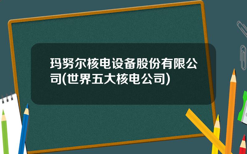 玛努尔核电设备股份有限公司(世界五大核电公司)