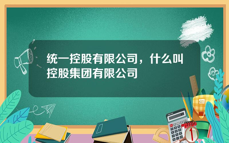 统一控股有限公司，什么叫控股集团有限公司