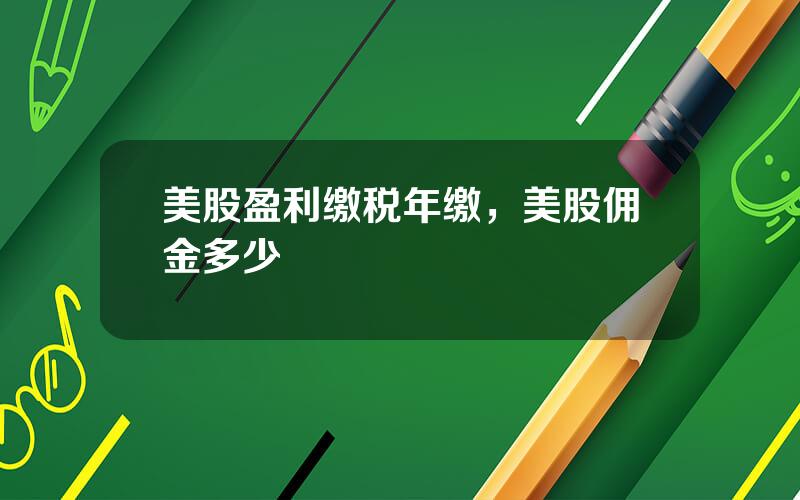 美股盈利缴税年缴，美股佣金多少