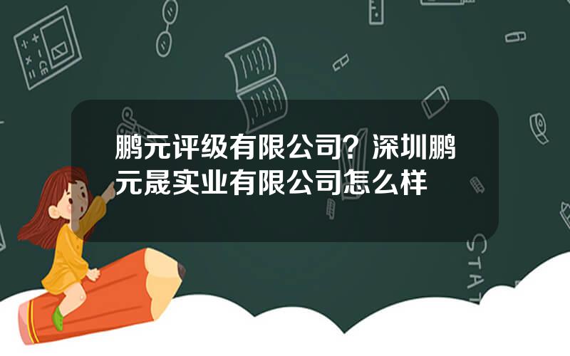 鹏元评级有限公司？深圳鹏元晟实业有限公司怎么样